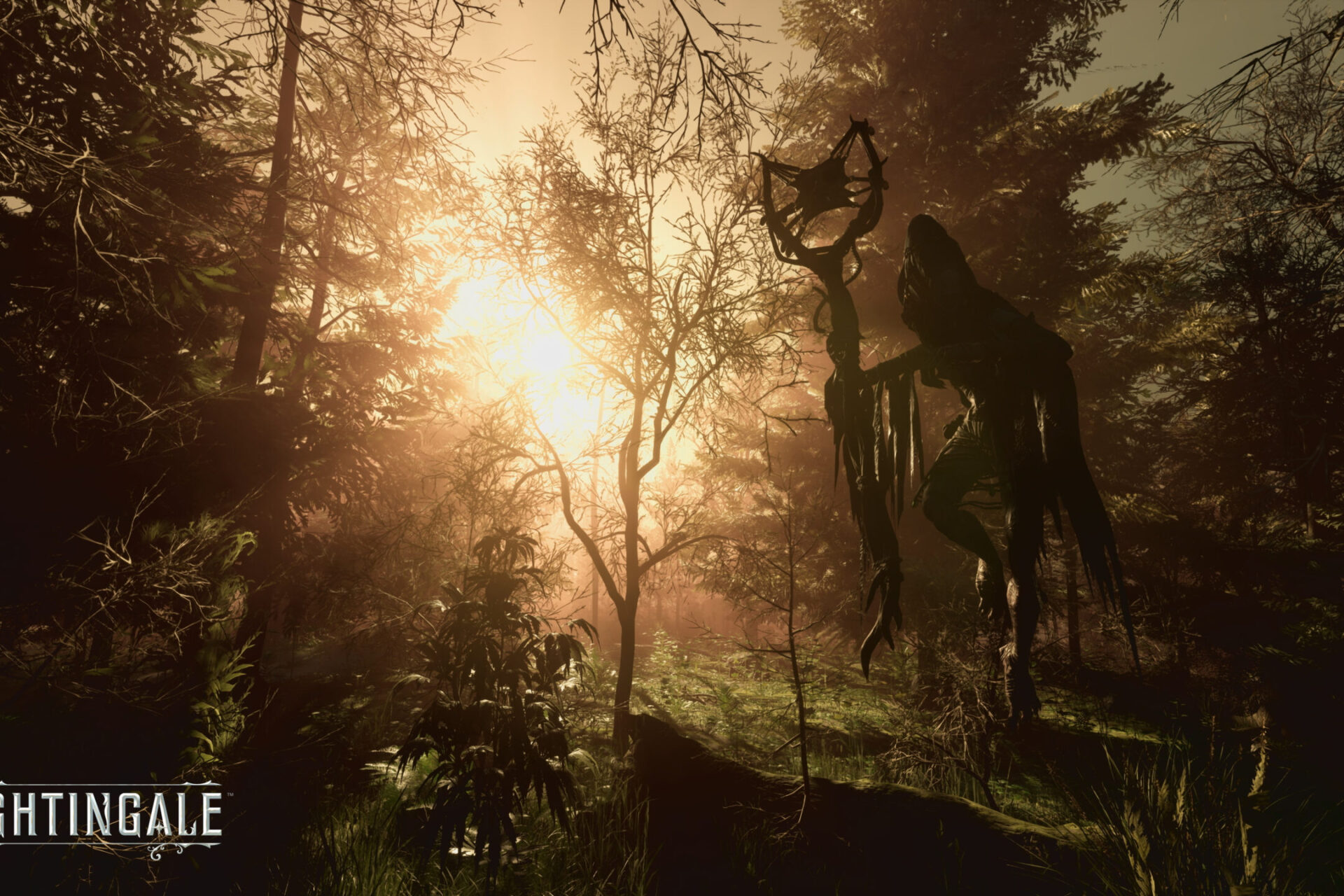 Nightingale-TGA-8-scaled