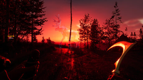 Image_20240618104647